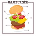 Hamburger Ingredients. Burger in the section. Royalty Free Stock Photo